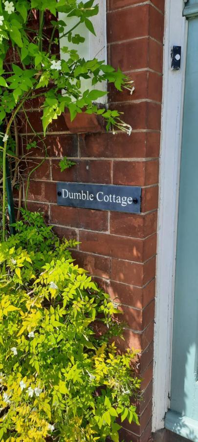 Dumble Cottage Minehead Dış mekan fotoğraf